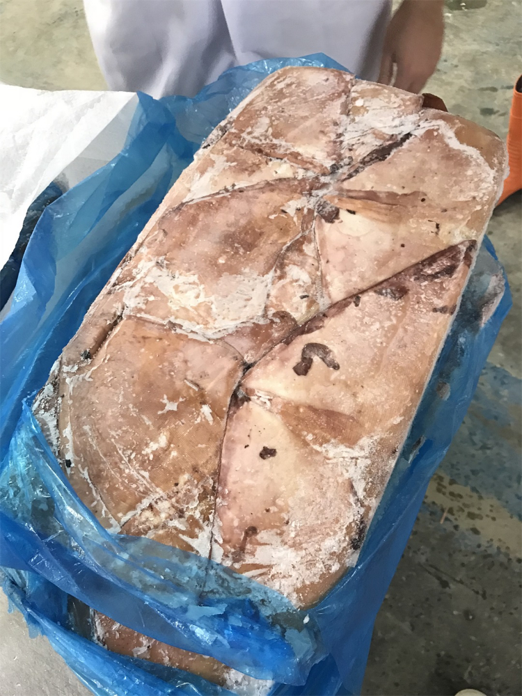 冻煮鱿鱼耳 FROZEN BOILED GIANT SQUID WINGS