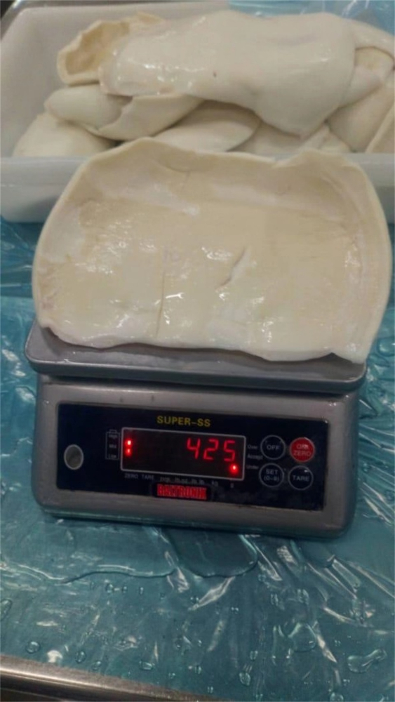 冻煮鱿鱼片 FROZEN BOILED GIANT SQUID FILLET