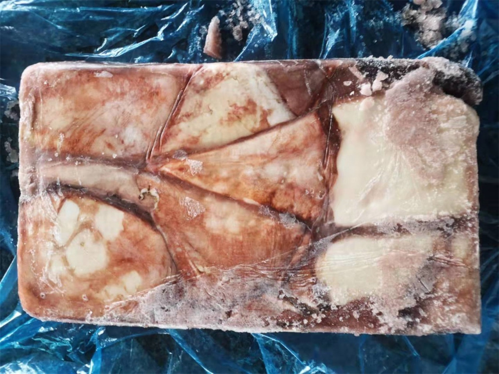 冷冻鱿鱼原条 FROZEN WHOLE GIANT SQUID