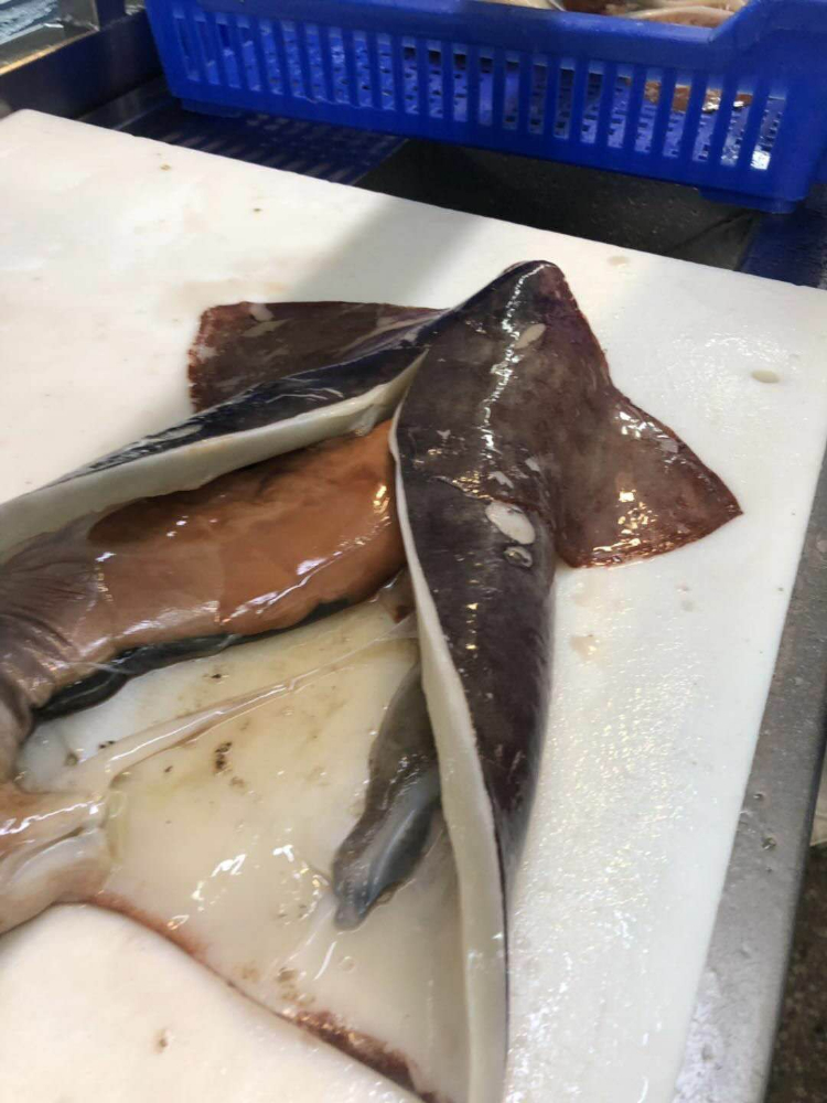 冷冻鱿鱼原条 FROZEN WHOLE GIANT SQUID