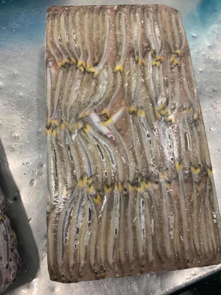 胡瓜鱼 FROZEN SILVER SMELT